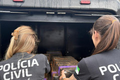 PCPR incinera 170 quilos de entorpecentes em Clevelândia 