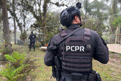 PCPR prende 12 pessoas em operação contra o tráfico de drogas em quatro cidades do Paraná
