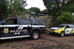 PCPR e PMPR realiza operação que investiga furto de carneiros em Iretama