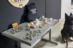 PCPR prende seis pessoas e 1,3 quilos de drogas durante operação em Nova Londrina