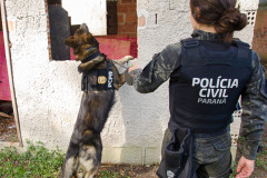 PCPR prende oito pessoas por crimes distintos em Rio Negro