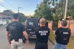 PCPR desmantela estufa para a produção de maconha em Piraquara 