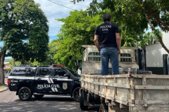 PCPR incinera toneladas de entorpecentes em Cruzeiro do Oeste