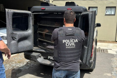 PCPR prende homem suspeito por múltiplos crimes de estelionato em Ponta Grossa
