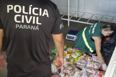 PCPR e Vigilância Sanitária apreendem 161 quilos de carne e prendem homem responsável em Pontal do Paraná 
