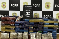 PCPR prende homem em flagrante por tráfico de drogas e apreende carga avaliada em R$ 134 mil em Pato Branco 
