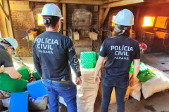 PCPR realiza incineração de mais de 1,6 tonelada de drogas em Campo Mourão