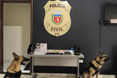 PCPR e PMPR prendem dois homens em flagrante por tráfico de drogas em Nova Londrina