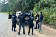 PCPR prende homem suspeito de tentativa de feminicídio em Castro 