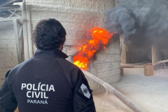 PCPR incinera 1,6 toneladas de entorpecentes em Colombo