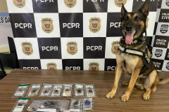 PCPR prende mãe e apreende filho em flagrante por tráfico de drogas em Francisco Beltrão 