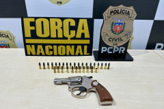 PCPR e Força Nacional prendem homem em flagrante e apreendem arma de fogo em Tapejara 