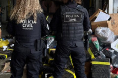 PCPR incinera quase três toneladas de drogas apreendidas pelas forças de segurança de Ponta Grossa 