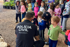PCPR na Comunidade realiza mais de 3,3 mil atendimentos em Foz do Iguaçu e Pérola 