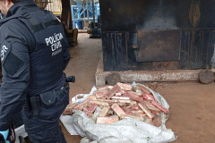 PCPR incinera 785 quilos de drogas em Francisco Beltrão
