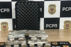 PCPR prende homem que transportava mais de 22 quilos de maconha em Cascavel
