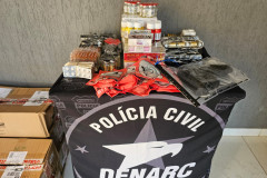 PCPR prende homem em flagrante por posse ilegal de arma e apreende drogas enviadas por comércio eletrônico em Foz do Iguaçu