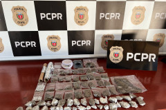 PCPR apreende adolescente por ato infracional análogo ao crime de tráfico de drogas em Dois Vizinhos