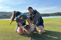 Valor das inscrições da Corrida da PCPR será revertido em ração para entidades animais