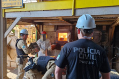 PCPR incinera mais de 223 quilos de drogas apreendidas em Campo Mourão 
