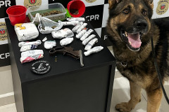 PCPR prende homem por tráfico de drogas e posse irregular de arma arma de fogo em Chopinzinho