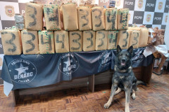 Celebrando 14 anos de atuação, Núcleo de Operações com Cães gerou prejuízo de R$ 61,3 milhões ao crime em 2025