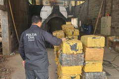 PCPR incinera mais de quatro toneladas de drogas em Campina Grande do Sul