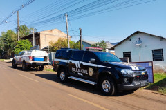 PCPR resgata quatro cães vítimas de maus-tratos em Francisco Beltrão