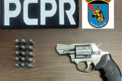 PCPR prende homem por posse ilegal de arma de fogo em Pinhais