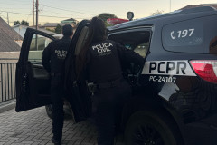 PCPR indicia homem por atropelar três cães em Piraquara 