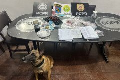 PCPR e PMPR prendem casal em flagrante por tráfico de drogas em Tijucas do Sul 