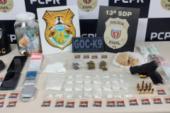 PCPR e GM prendem homem em flagrante por tráfico de drogas e porte de arma de fogo em Ponta Grossa