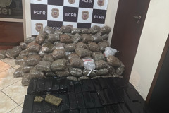 PCPR apreende 940 quilos de maconha durante ações distintas em Foz do Iguaçu