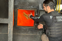 PCPR incinera aproximadamente duas toneladas de drogas em Arapongas