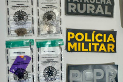 PCPR, PMPR e Força Nacional  prende homem por tráfico de drogas e posse irregular de munição em Goioerê