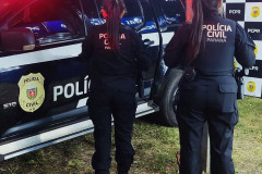 PCPR prende mulher em flagrante por estelionato em Ribeirão do Pinhal