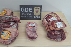 PCPR prende sete pessoas durante operação contra furtos e receptação em Cascavel 