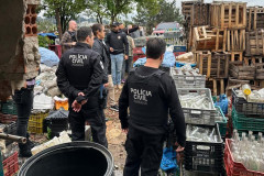 PCPR destroi mais de 300 mil garrafas de bebidas durante ação contra comércio irregular em Curitiba e RMC