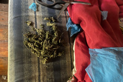 PCPR prende homem em flagrante por tráfico de drogas em Francisco Beltrão 