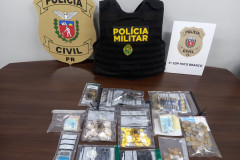 PCPR prende homem em flagrante por tráfico de drogas em posse irregular de arma de fogo em Vitorino