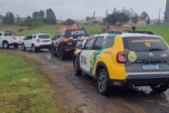 PCPR, PMPR e IAT prendem mulher por tráfico de animais e uso de documentos falsos em Guarapuava