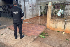 PCPR conclui operação nacional contra exploração sexual infantil com 14 prisões em 19 estados