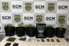 PCPR e GCM prendem casal em flagrante por tráfico de drogas em Ponta Grossa