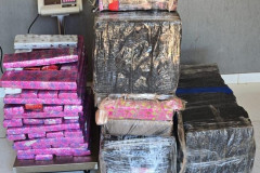 PCPR, PRF e GCM prendem quatro por tráfico e apreendem 233 quilos de maconha no Oeste do Estado