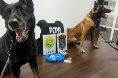 PCPR e PMPR prendem dois homens por tráfico de drogas em Pinhais