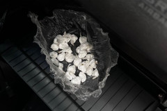 PCPR prende homem em flagrante por tráfico de drogas em Cascavel 