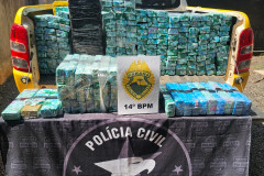 PCPR e PMPR apreendem mais de meia tonelada de maconha e munições em Foz do Iguaçu 