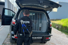 PCPR e PCSC prendem oito pessoas envolvidas em esquema interestadual de roubo de cargas