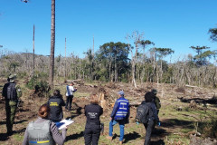 PCPR prende homem por desmatar 106 hectares de floresta em Rio Azul