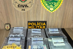 PCPR e PMPR prende casal em flagrante por tráfico de drogas em Alto Paraná 